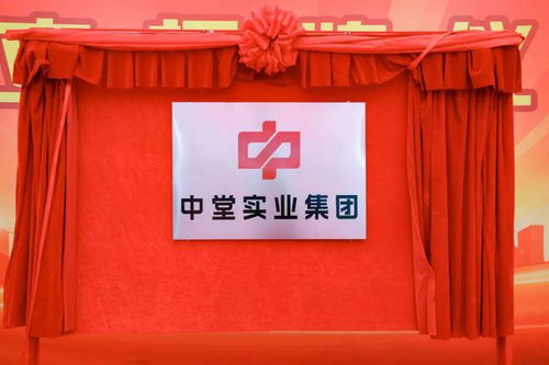 高質(zhì)量發(fā)展新征程 中堂實業(yè)集團揭牌成立，百墩實業(yè)開啟新篇章
